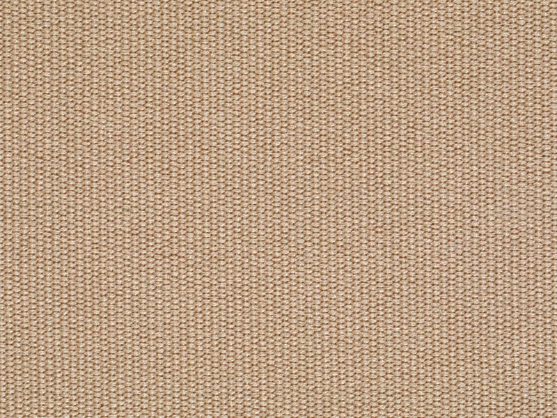 10069